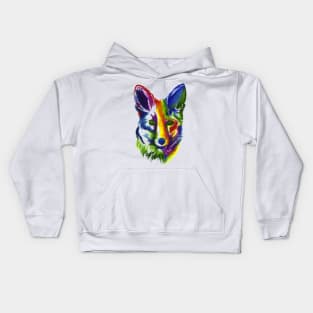 Multicolored Fox Kids Hoodie